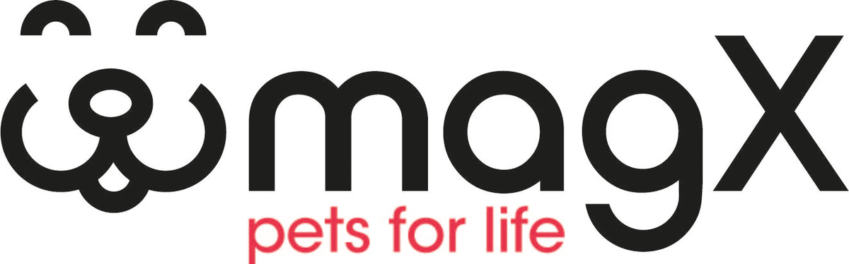 Sustainable Products for Pets | Pet Lifestyle Products
– MagX Pets