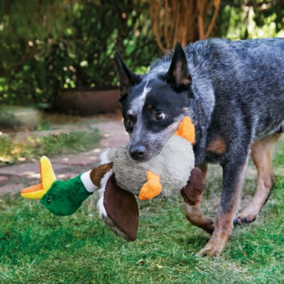 HONKING DUCK I DOG TOY I 45.5CM