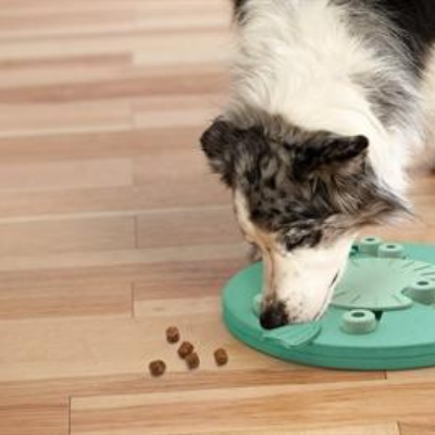 BRAIN TOY I DOG WORKER I NINA OTTOSSON