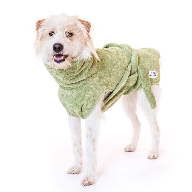 Dog Drying Coat - Green Leaf