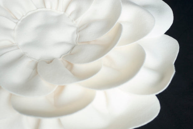 The Camellia Flower Bed COVER