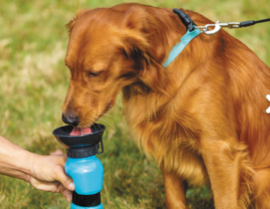 AQUADOG I DRINK BOTTLE I 533 ML