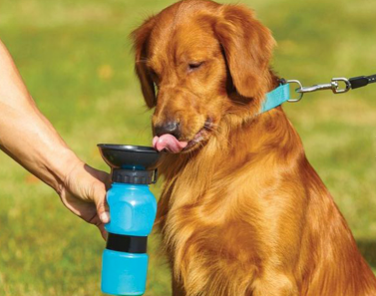 AQUADOG I DRINK BOTTLE I 533 ML