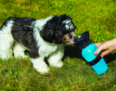 AQUADOG I DRINK BOTTLE I 533 ML