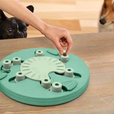 DOG WORKER - COMPOSITE - Nina Ottosson Treat Puzzle Games for Dogs & Cats