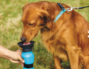 AQUADOG I DRINK BOTTLE I 533 ML MagX Pets
